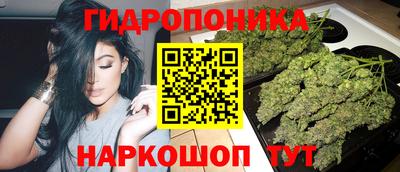 мяу мяу кристалл Гусь-Хрустальный
